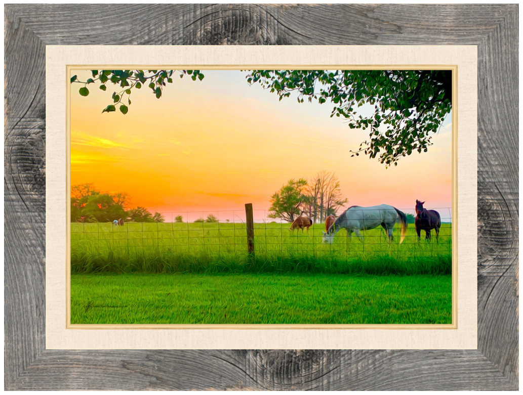 Sunset Horses
