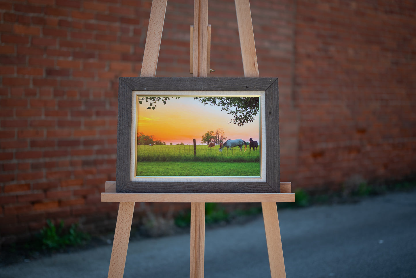 Sunset Horses