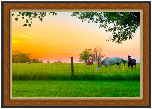 Sunset Horses Honey Gold Frame