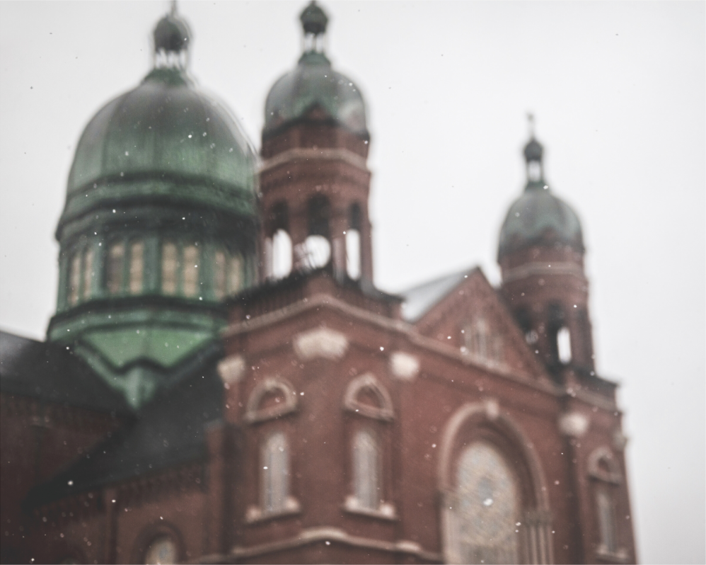 Main image First Snow