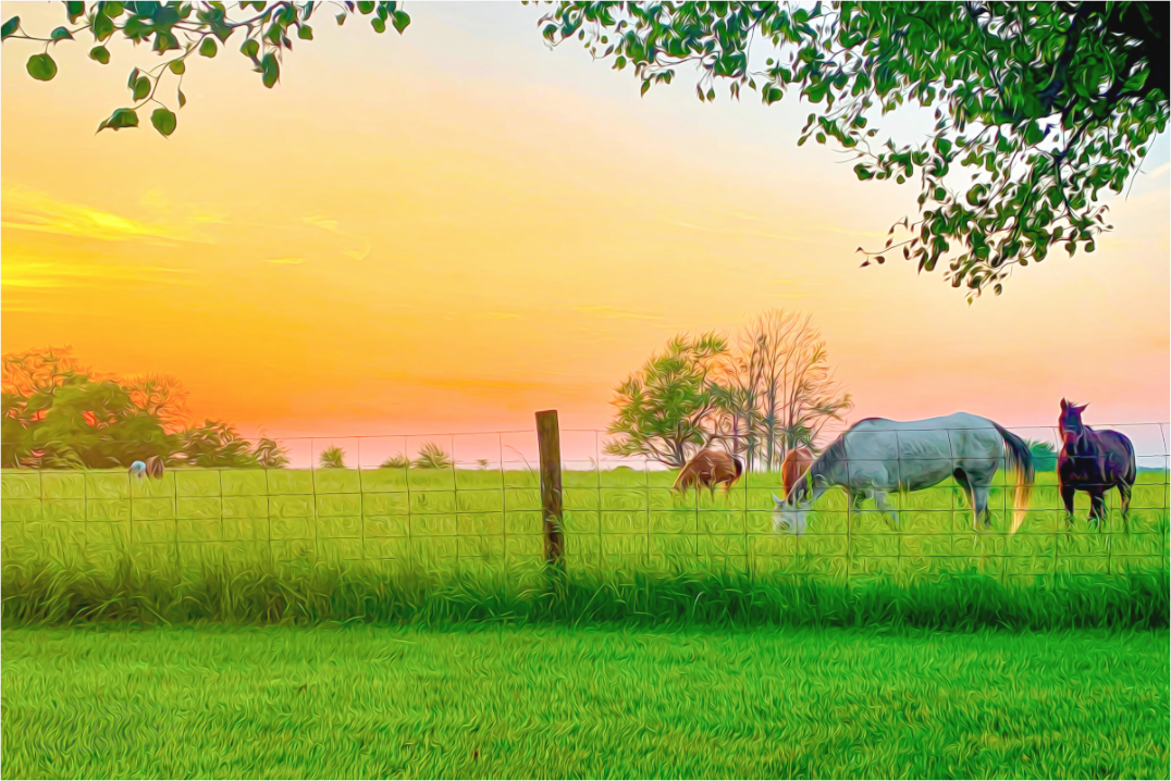 Main image A Beautiful Evening